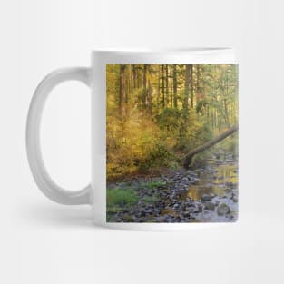 850_2808 Mug